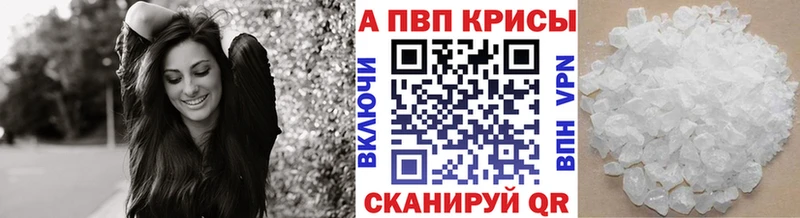 A-PVP СК КРИС  Салехард 