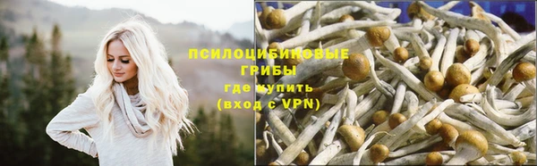 кокаин премиум Алексеевка