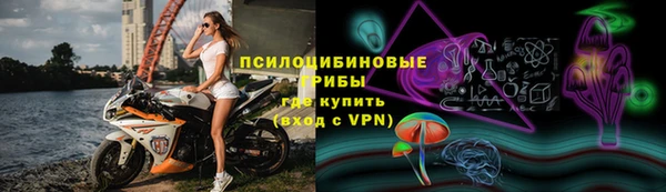 амф Алексин