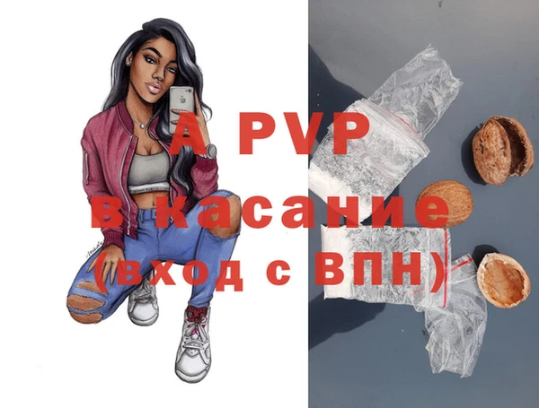 амф Алексин